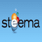 Logo for Steema
