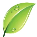 Logo for Springleaf Engineering