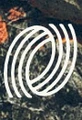 Logo of Eion