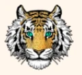Logo for Fable & Mane