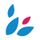 Logo for Nouveal