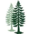 Logo for Fir Tree