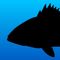 Logo for fisheries management