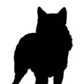 Logo for Fratelli