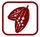 Logo for Celleste Bio