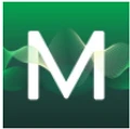 Logo for Mindset