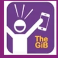 Logo for The GiB
