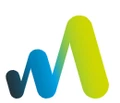Logo for goWiFi Navy