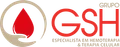 Logo of GSH Group