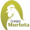 Logo of Grupo Murlota