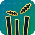 Logo for GullyCricket