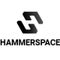 Logo for Hammerspace