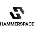 Logo for Hammerspace