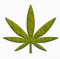 Logo for Hemp Wholesaler