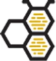 Logo for HiveSkill