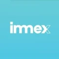 Logo for Immex Group