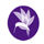 Logo for Hummingbird