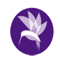 Logo for Hummingbird