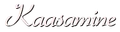 Logo for Kaasav