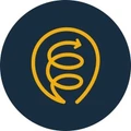 Logo for Lookback