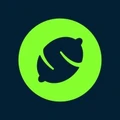 Logo for Lemon Cash