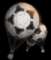 Logo for Les Voyages En Ballon