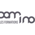 Logo for Les Formations Domino
