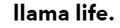 Logo for Llama Life