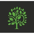 Logo for Lime Tree Education Search