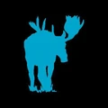 Logo for MAG