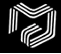 Logo for MG Security Services