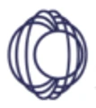 Logo for NanoMagnetic Solutions
