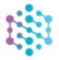 Logo for Nsight