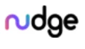 Logo for Nudge Security