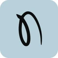 Logo for Nyron AI