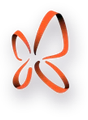Logo for Orange Wings