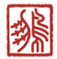 Logo for PENG Capital