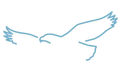 Logo for Periphas Capital