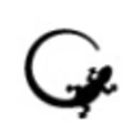 Logo for PFS