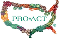 Logo for PRO*ACT