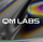 Logo for QM Labs