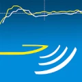 Logo for Rowing in Motion