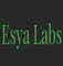 Logo for Esya Labs
