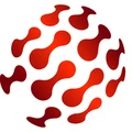 Logo for SANeForce