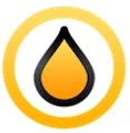 Logo for SAP France