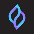 Logo for Seedify