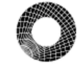 Logo for Shield Capital