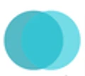 Logo for Sofemi Group