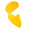 Logo for Singh Styled