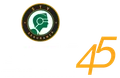 Logo for STV Security
